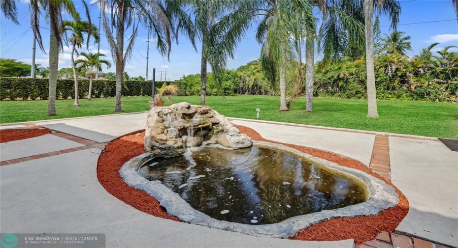 Working fountain with ecosystem.....  Meet the turtle and her two little ones.