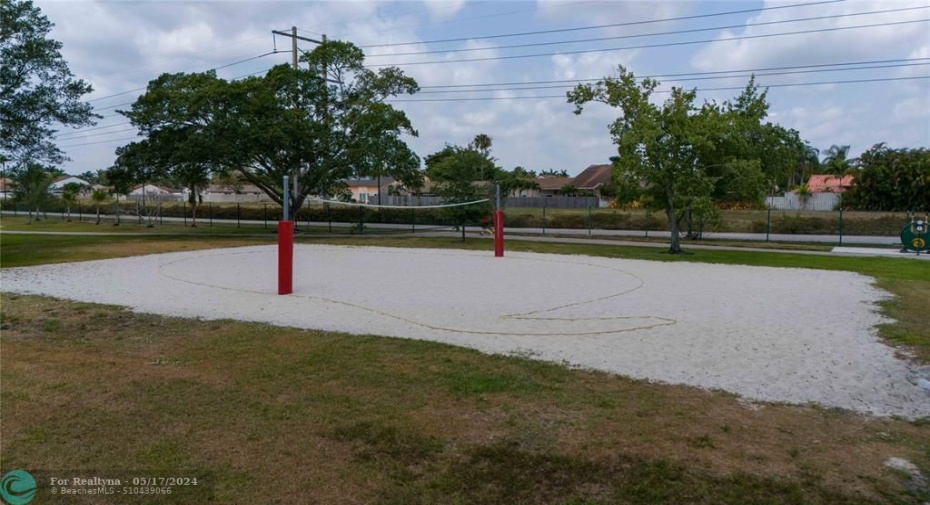 Beach Volleyball!
