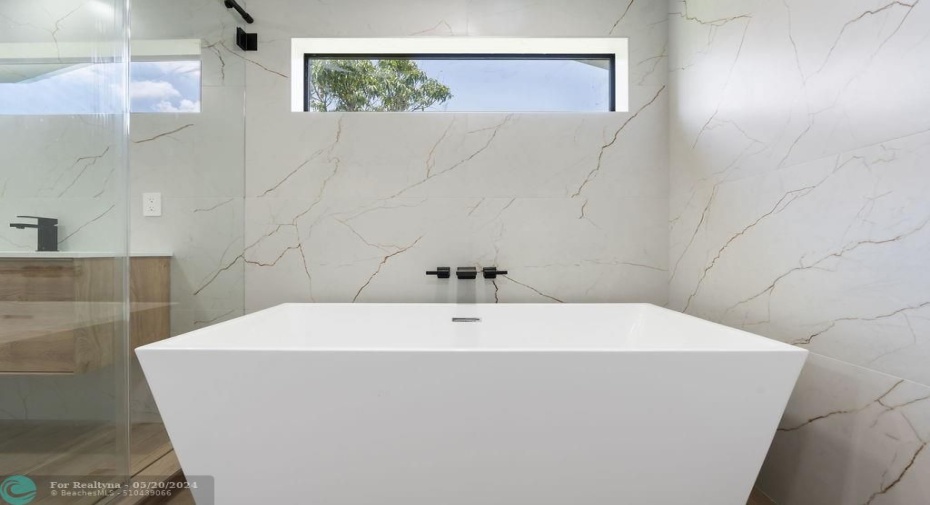 MASTER TUB / SHOWER