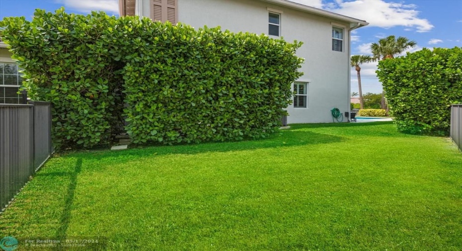Side Yard