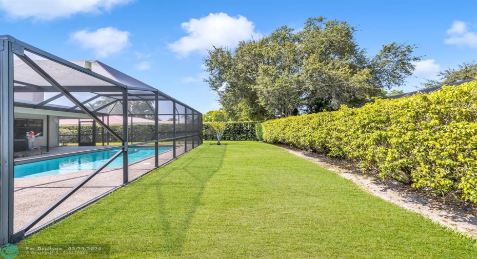 BIG BACK YARD TOO!
