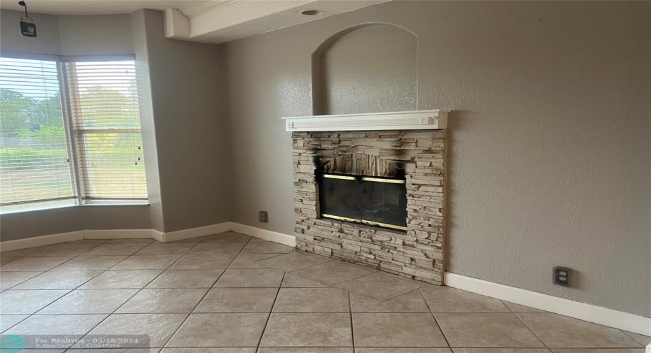 Great Room Fire Place