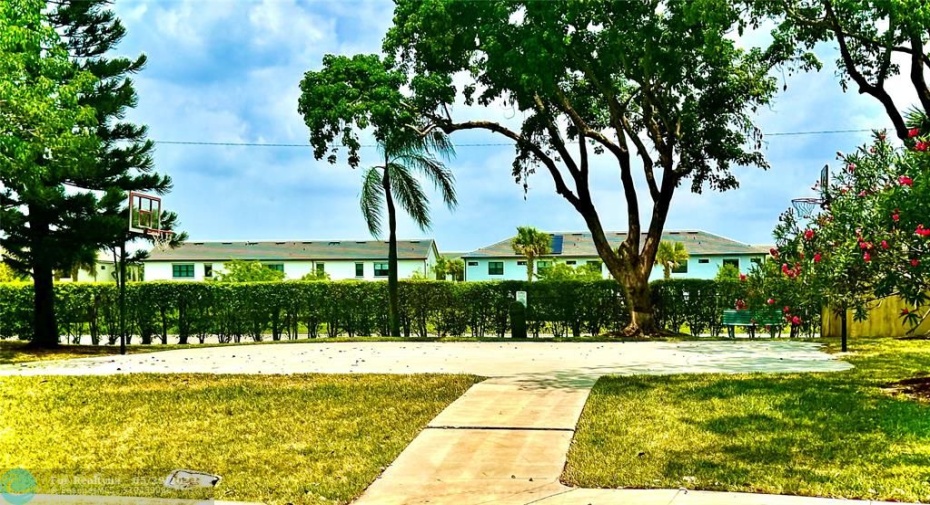 Basketball area and view in the background of Oaktree Homes starting at $800K