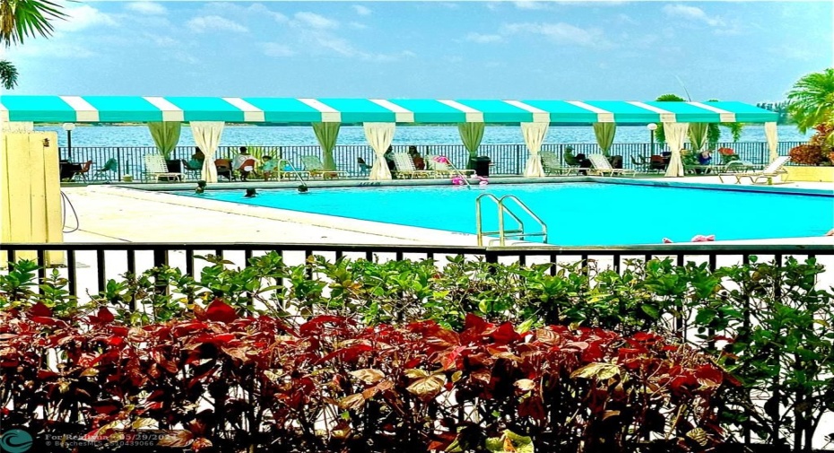 (1) of (3) Heated Pools