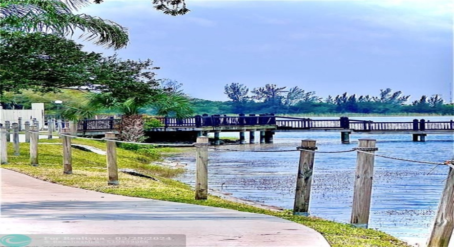 View of the Lake from walking trail.