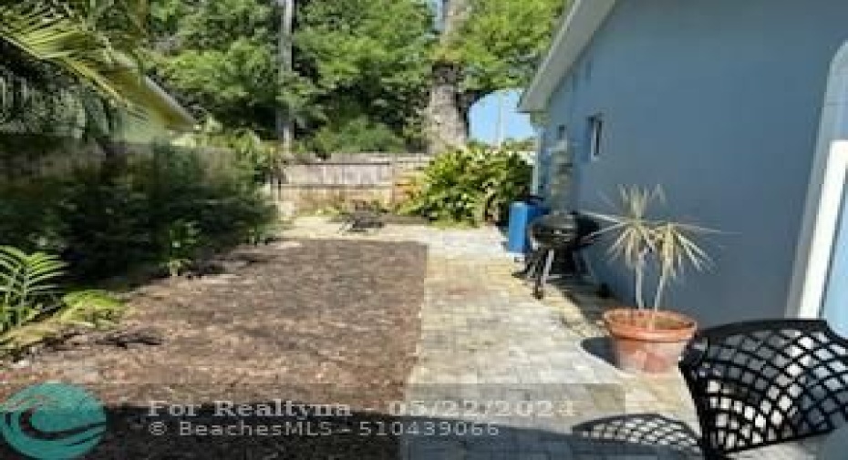 Backyard