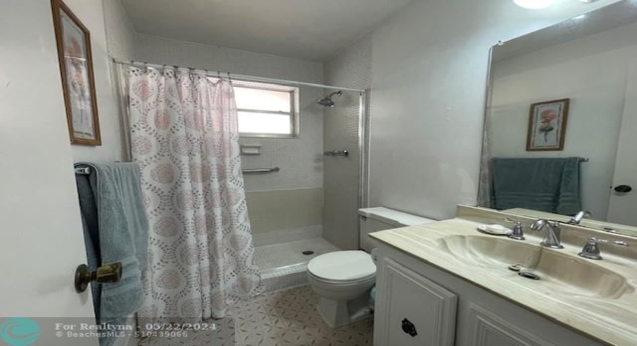 Hallway Bathroom