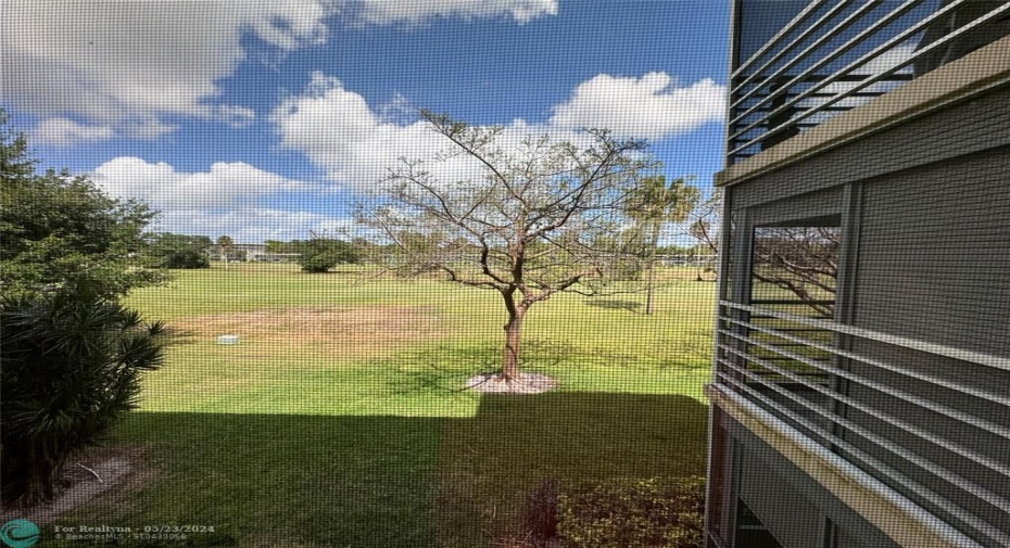 Master Bedroom View