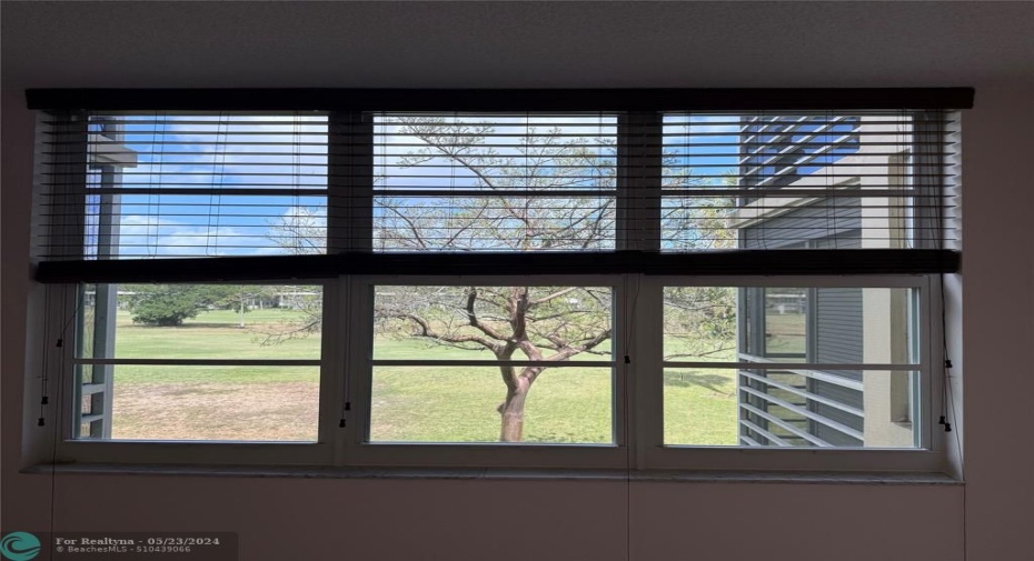 Master Bedroom Views
