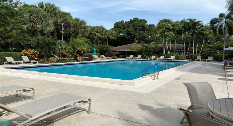 Pool Area and Ample Pool Deck with Furniture