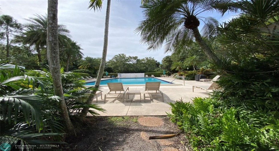 Garden at Pool Area