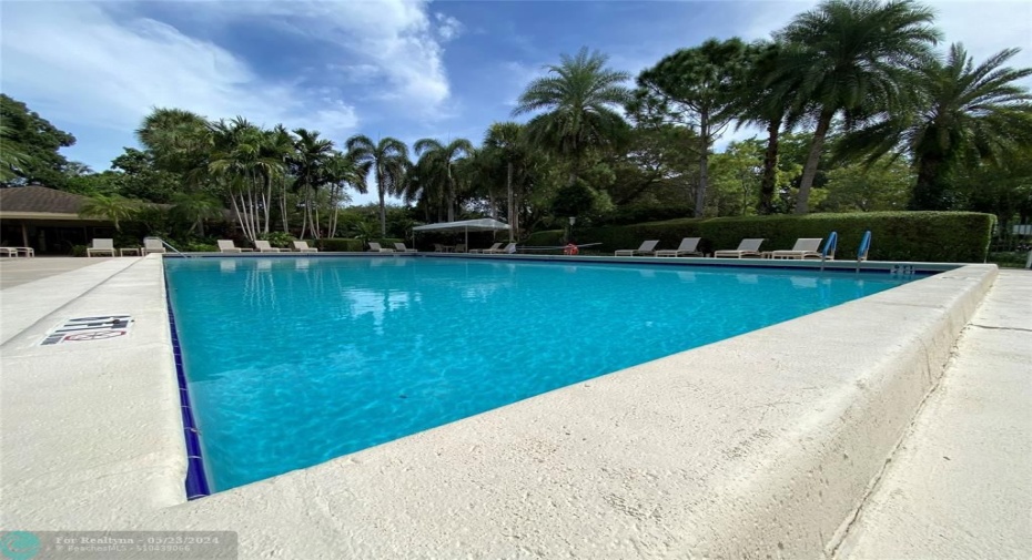 Ample Pool Deck