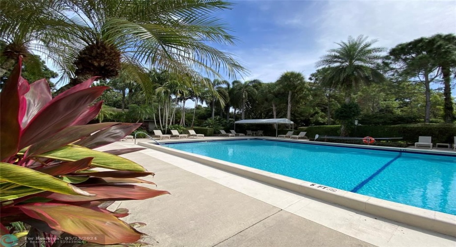 Gardens at Pool Area