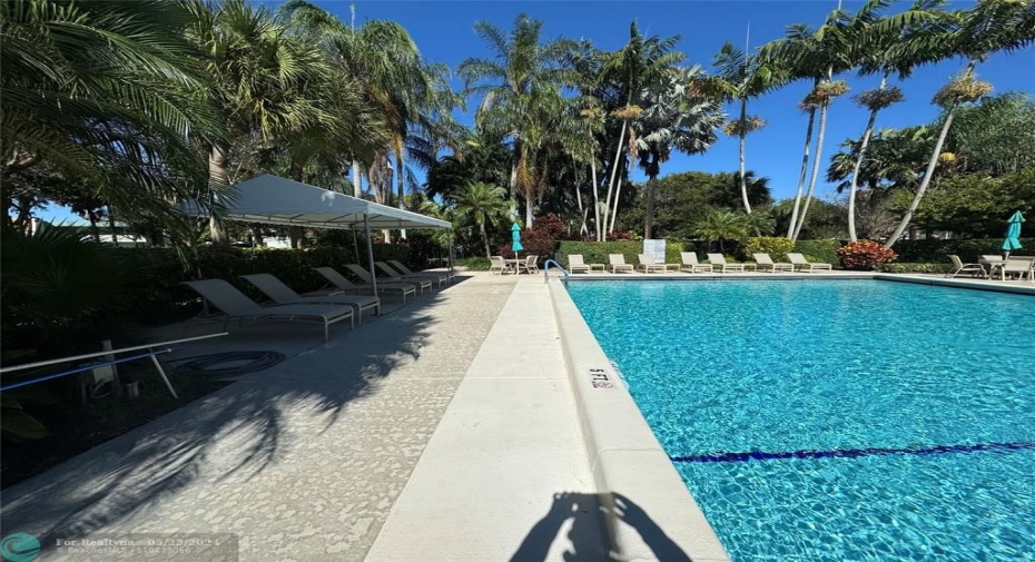 2nd Pool Area