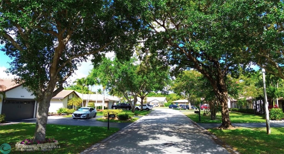 You'll love 49 Dr in Pine Ridge. It's a beautiful tree lined street in Coral Springs wiith wonderful maintained homes and lawns.