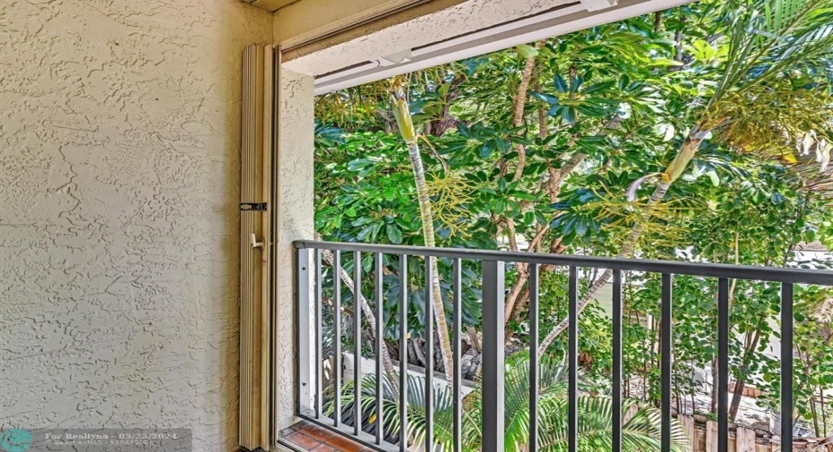 Primary Balcony