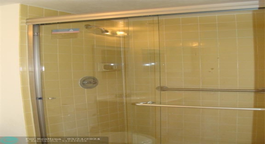 Master Shower