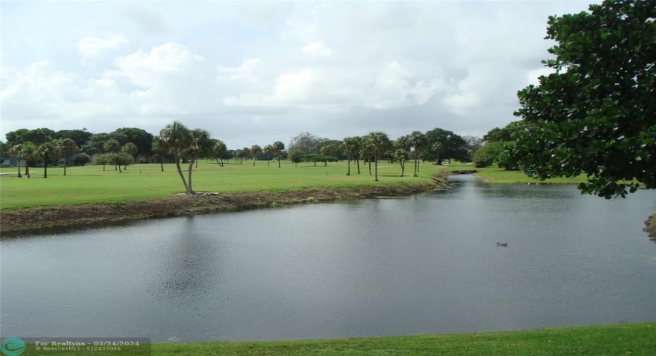 Lake View