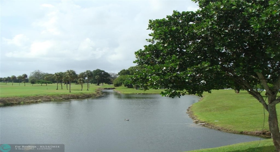 Lake View
