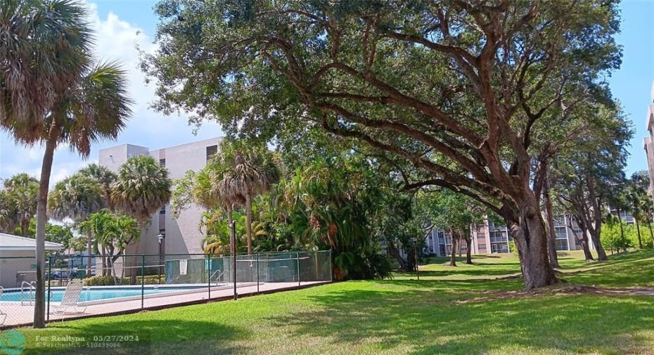 Pool & greenspace