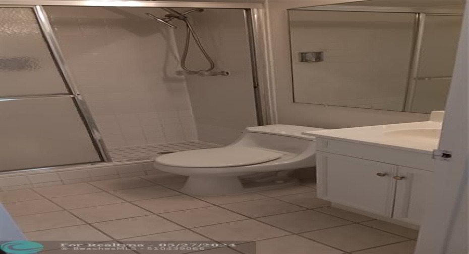 Guest bathroom
