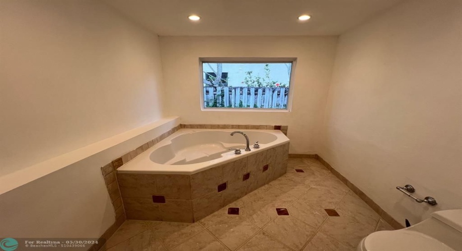 Master Bathtub