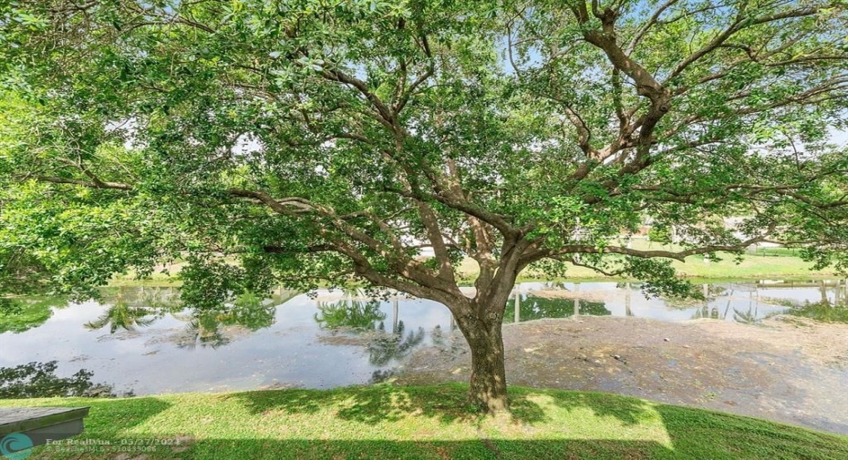 Rear Lake View