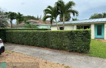 Nice front yard with privacy hedges