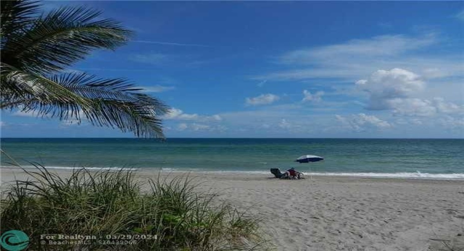 DANIA BEACH