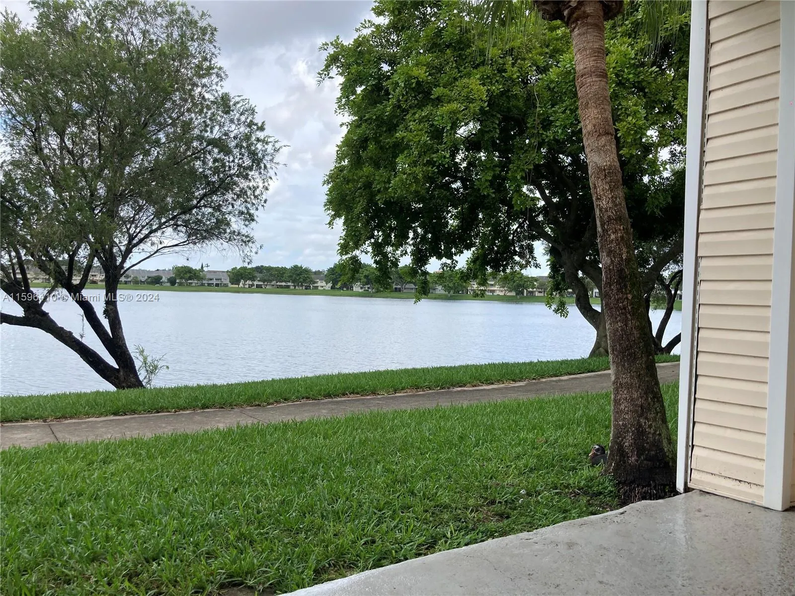 View from Porch