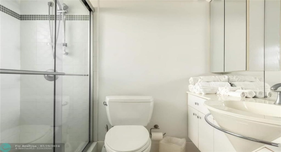 En-Suite Bathroom for Bedroom #2