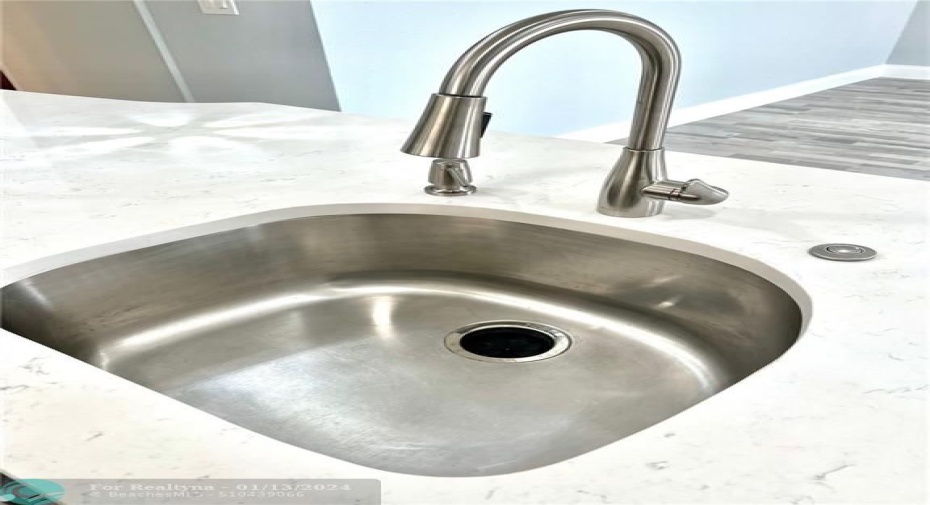 Quartz Counter & Garbage Disposal