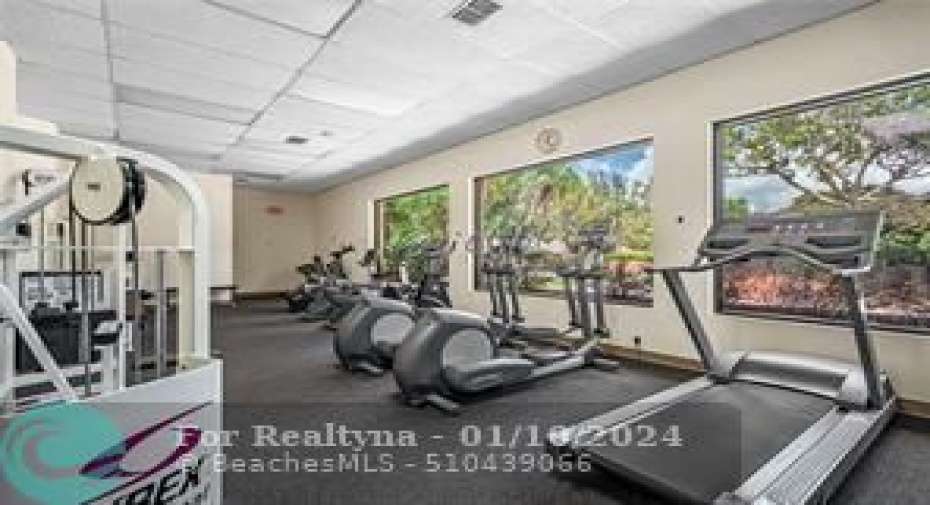 GYM