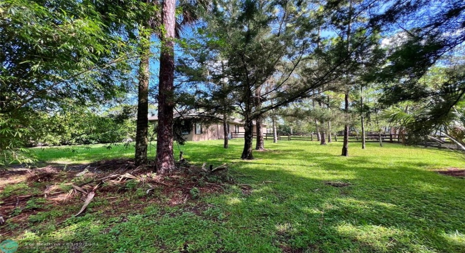 Yard