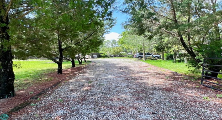 Driveway