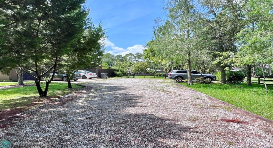 Driveway
